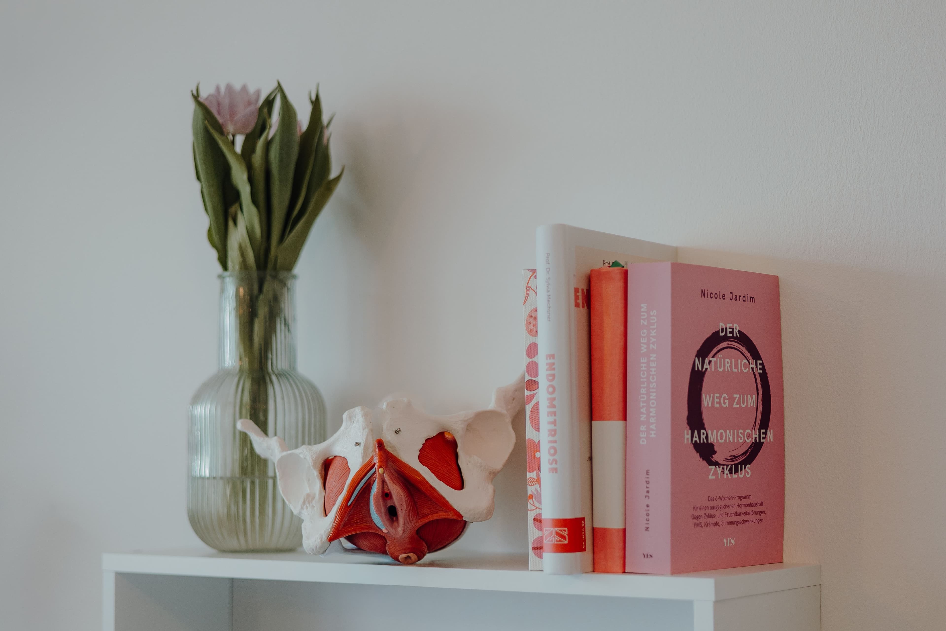 Beckenbodentherapie und Beratung